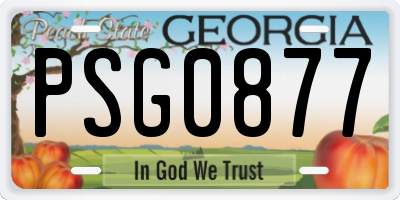 GA license plate PSG0877