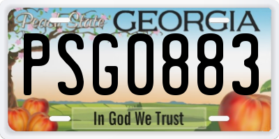 GA license plate PSG0883