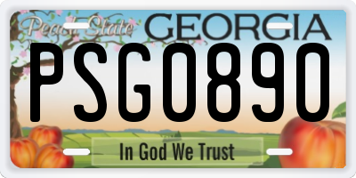 GA license plate PSG0890