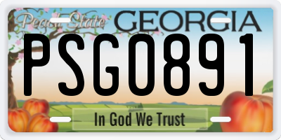 GA license plate PSG0891