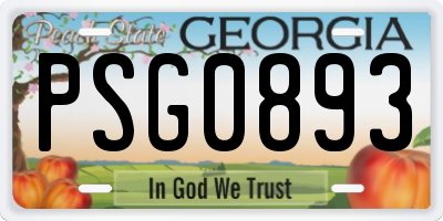 GA license plate PSG0893