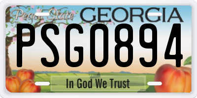 GA license plate PSG0894