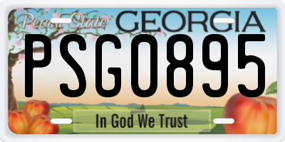 GA license plate PSG0895