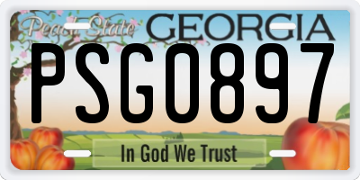 GA license plate PSG0897
