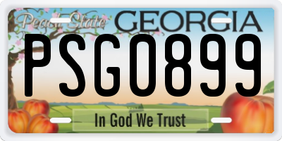 GA license plate PSG0899