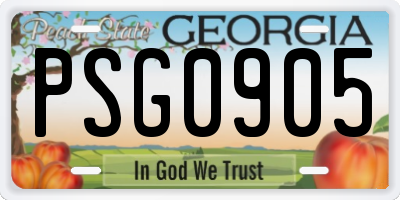 GA license plate PSG0905
