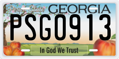 GA license plate PSG0913