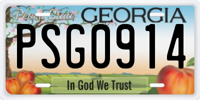 GA license plate PSG0914