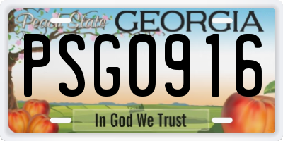 GA license plate PSG0916