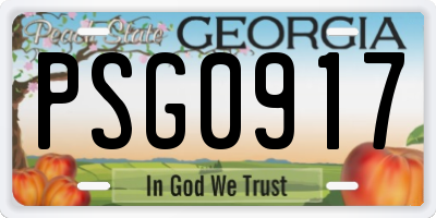 GA license plate PSG0917