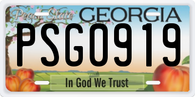 GA license plate PSG0919