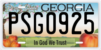 GA license plate PSG0925