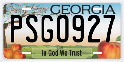 GA license plate PSG0927