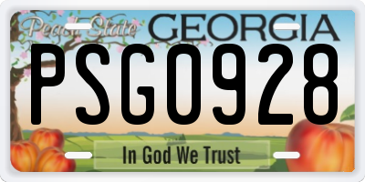 GA license plate PSG0928