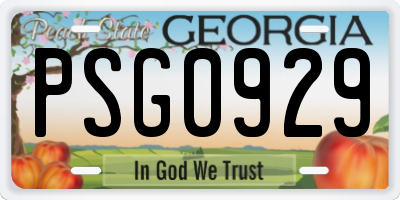 GA license plate PSG0929