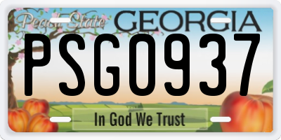 GA license plate PSG0937