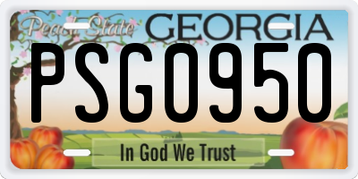 GA license plate PSG0950