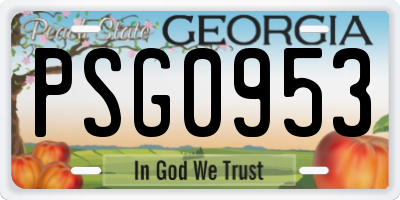 GA license plate PSG0953