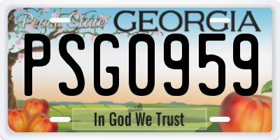 GA license plate PSG0959