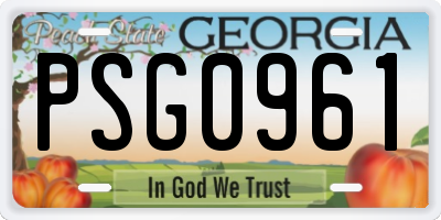 GA license plate PSG0961