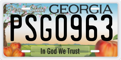 GA license plate PSG0963
