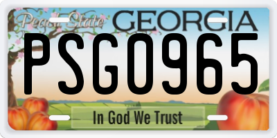 GA license plate PSG0965