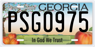 GA license plate PSG0975