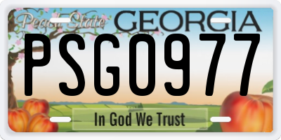 GA license plate PSG0977