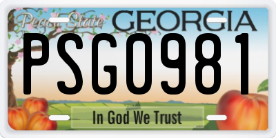 GA license plate PSG0981