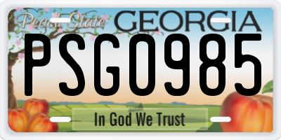 GA license plate PSG0985