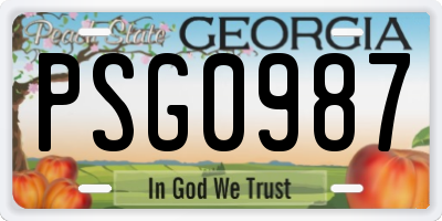 GA license plate PSG0987