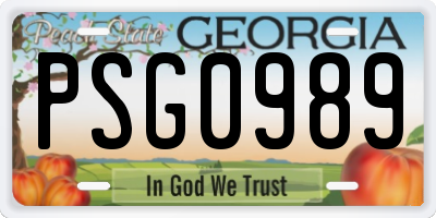 GA license plate PSG0989