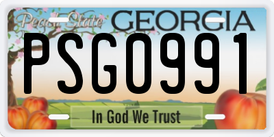 GA license plate PSG0991