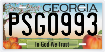GA license plate PSG0993
