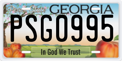 GA license plate PSG0995