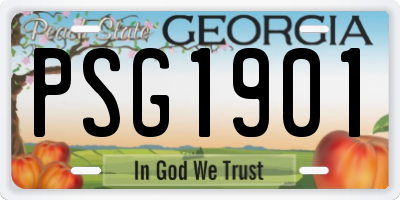 GA license plate PSG1901