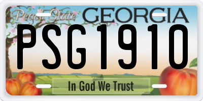 GA license plate PSG1910