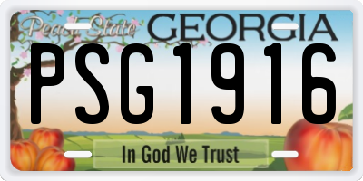 GA license plate PSG1916