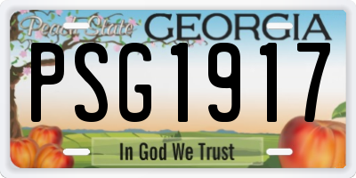 GA license plate PSG1917