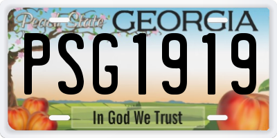 GA license plate PSG1919