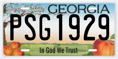 GA license plate PSG1929