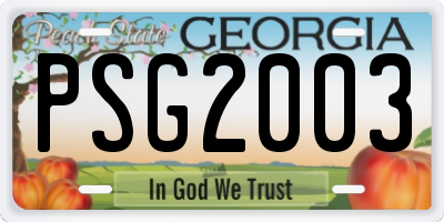 GA license plate PSG2003