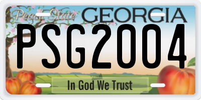 GA license plate PSG2004