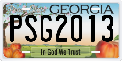 GA license plate PSG2013