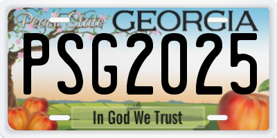 GA license plate PSG2025