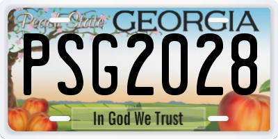 GA license plate PSG2028