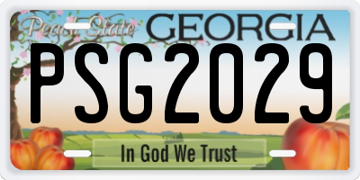 GA license plate PSG2029