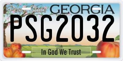 GA license plate PSG2032