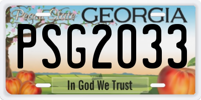 GA license plate PSG2033