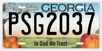 GA license plate PSG2037